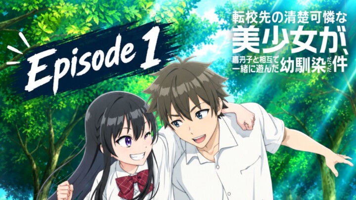 Tenkou-saki No Seiso Karen Na Bishoujo Ga, Mukashi Danshi To Omotte Issho Ni Asonda Osananajimi Datt