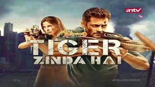 Tiger Zinda Hai (2017) Dubb Indonesia