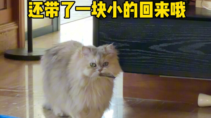 رائع حقًا يا طفلنا التنين، حتى إنه يخشى أن يموت المسنون وحدهم جوعًا فيعرف أن يحضر أوراق الشجر لأبيه 