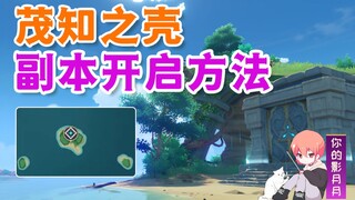 [ เก็นชินอิมแพกต์ ] Maozhi's Shell Solution/Heguan Copy/Inazuma Decryption