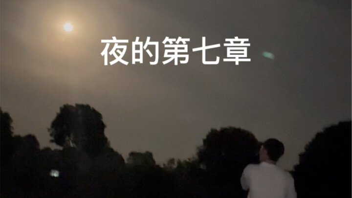 Chapter Seven of the Night