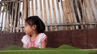 my mini vlog