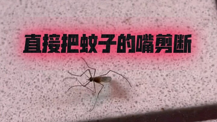 Langsung sita alat yang digunakan untuk kejahatan