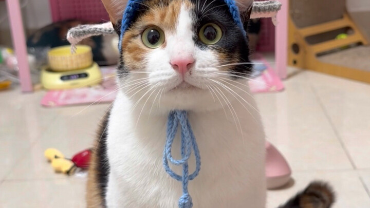 Feels like I’ve been possessed by AI.