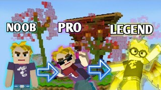 Noob Become Pro  [ Blockman GO ]