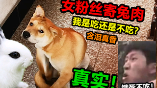 The young lady saw that her dog was constipated, so she sent a rabbit to the dog. The man saw it and
