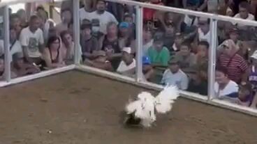 2 hits ulutan 1st fight