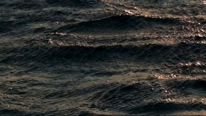 5 Descobertas impressionantes do oceano!