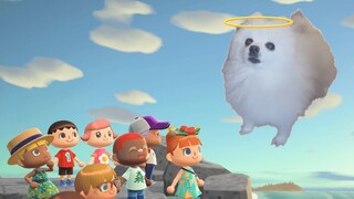 Animal Crossing New Horizons Theme but it's Doggos and Gabe