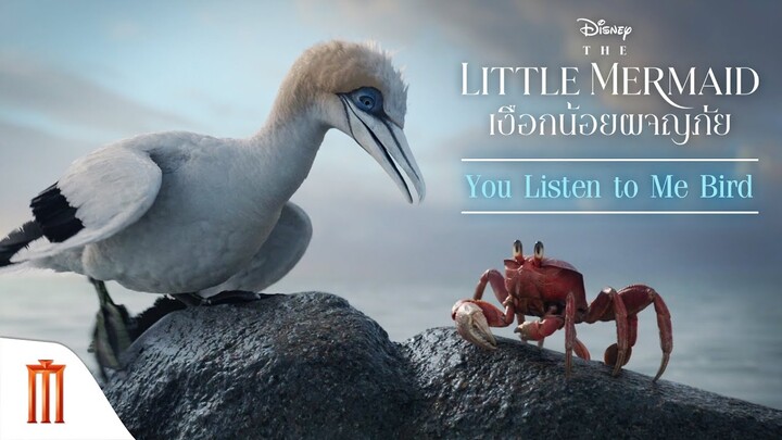 Disney’s The Little Mermaid | เงือกน้อยผจญภัย - You Listen to Me Bird [ซับไทย]