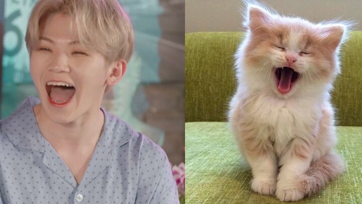 [Li Zhixun] Teacher Li: I'm not cute. Kela: Oh my, kiyo kiyo