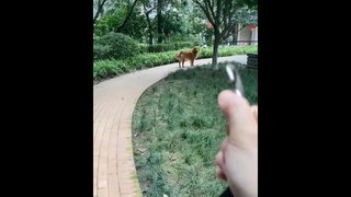 หลงแล้ว1