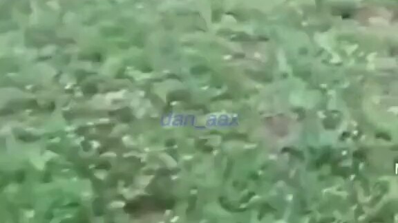 هذا هو الرقص المطلوب!