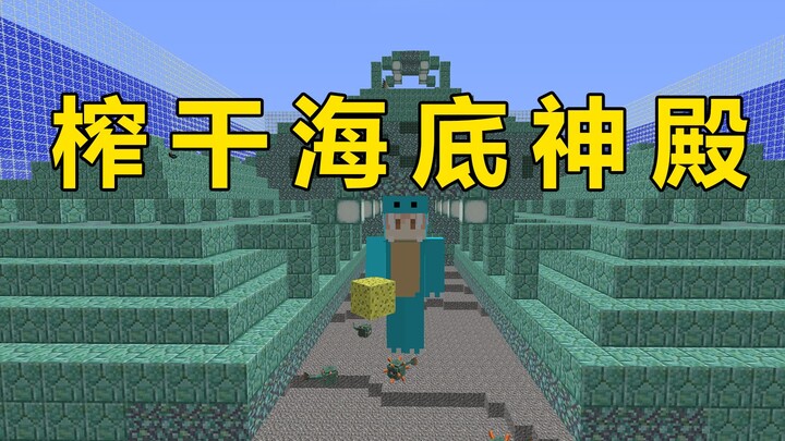 我的世界:主播在家无聊用海绵榨干了海底神殿！