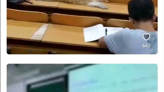 هل سيتم طردك إذا تسللت إلى محاضرة في الجامعة؟