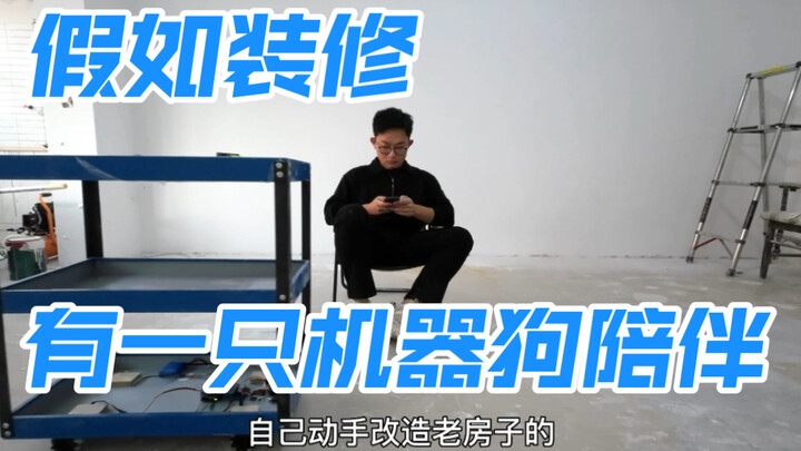 当我感觉自己的装修日常，需要一只狗狗陪伴的时候。