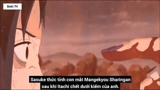 Nếu Itachi Không Đồ Sát Gia Tộc Uchiha Chuyện Gì Sẽ Xảy Ra Giả Thuyết Naruto- 13