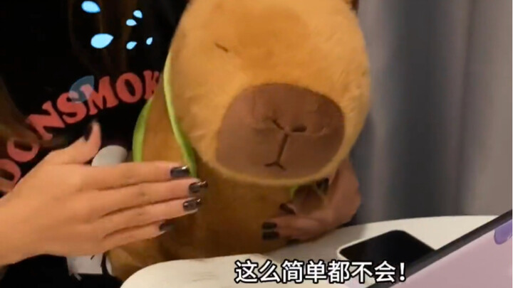 I hope all my friends are as emotionally stable as capybaras!