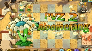 PVZ 2, Bloomerang
