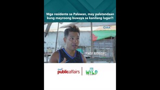 Mga residente sa Palawan, may palatandaan kung mayroong buwaya sa kanilang lugar?! | Born to Be Wild
