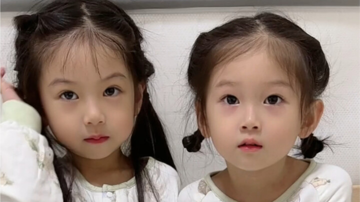 Momen sebelum tidur dua kakak-adik~ Si Kecil Yuanbao lagi-lagi bernyanyi untukku!