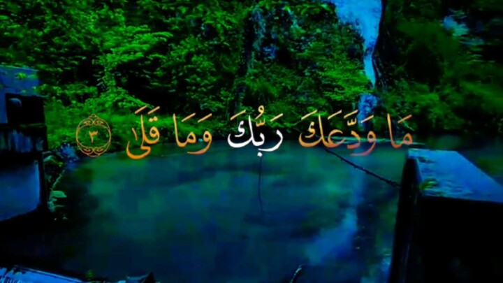 Beautiful Quran Recitation ❤️🕌 | Heart Touching Tilawat