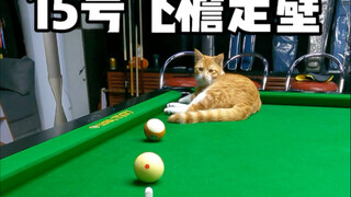 台球飞檐走壁