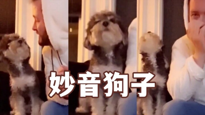 When you realize your dog has more musical talent than you do…