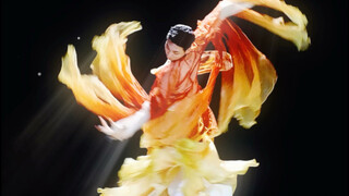 红鲤鱼版本《壁上观》送给大家！