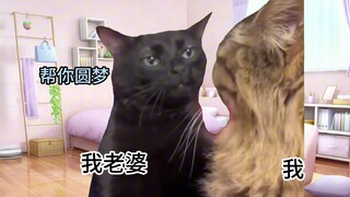 【Cat meme】What is it like to cook with your wife until she cries?