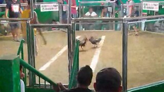 7x winner binisaya ug duwa 😹