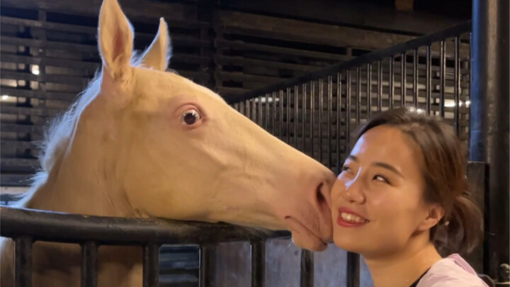 Môi của ngựa mềm đến mức nào