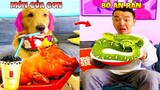 Thú Cưng Vlog | Tứ Mao Ham Ăn Đại Náo Bố #39 | Chó gâu đần thông minh vui nhộn | Funny smart pet dog