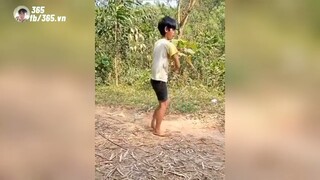 Tài Không Đợi Tuổi | K 365