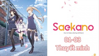 Saekano phương pháp đào tạo nữ chính nhạt nhòa ss1 tập 01-03 thuyết minh