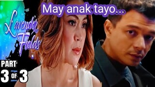 Lavender Fields | FULL EPISODE | Oct. 2024 | Advance Episode| Mayanak tayo