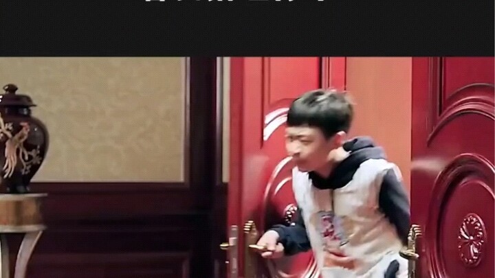 Chicken feathers flying to the sky