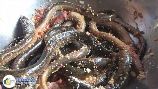 Lịch Um Lá Nhàu Chui Vào Ống Tre | Hội Ngộ Miền Tây - Tập 290