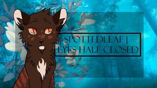 ﾟ｡*★ | Spottedleaf - Eyes Half Closed | ★*｡ﾟ [Warrior cats Animatione MEME]