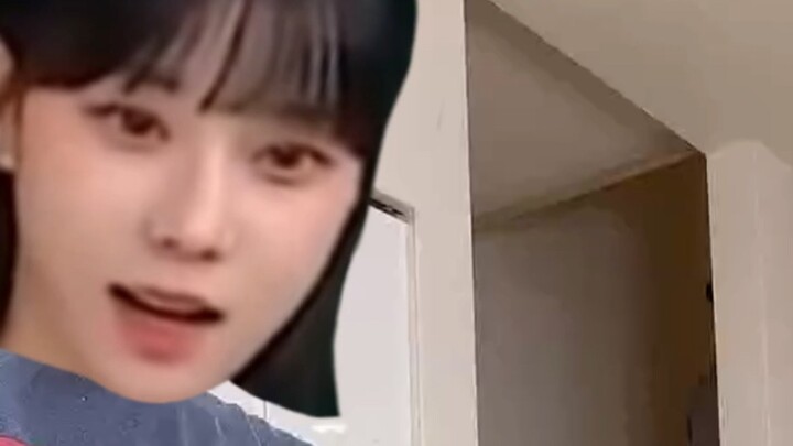 【Yudong】Family younger brother