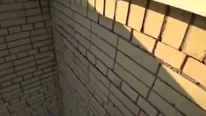 Achievement unlocked: Someone who dislikes BLEACH.