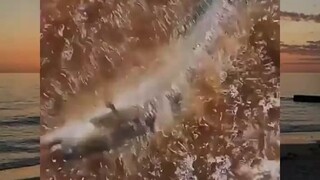 akibatnya turu