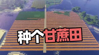 Minecraft Mortal Cultivation 04 Survive and develop in an orderly manner My cousin made a sugar cane