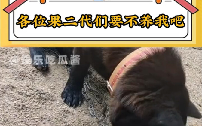 Second-generation rich kids, please take care of me! Take care of me!