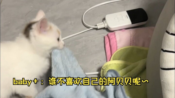 Hahaha, holding onto Abebe and refusing to let go~