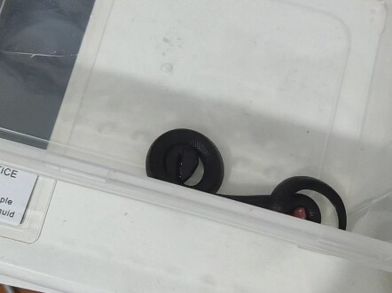 Guys, my snake seems to be a bit dim-witted