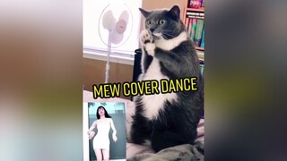 Các sen có thấy boss cover đỉnh k ạ 🤟🤟💯💯💢💥  vuthikhanhhuyen huanluyenmeo meodance coverdance meocute