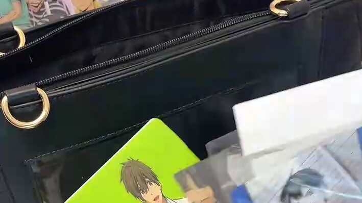 Bag Diary | Large-capacity folder that can display folders | Folders finally don’t have to gather du