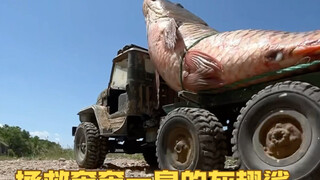遥控汽车运输途中遇到一条奄奄一息的大鱼，一场救援因此展开，但会成功吗？