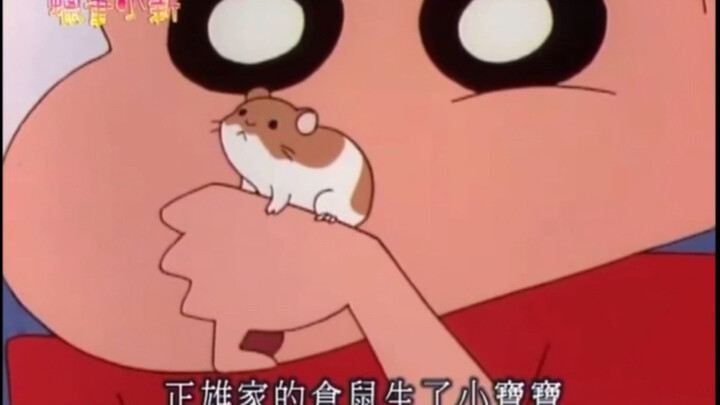 Crayon Shin-chan Versi Taiwan: Aku Akan Memelihara Hamster Lho!